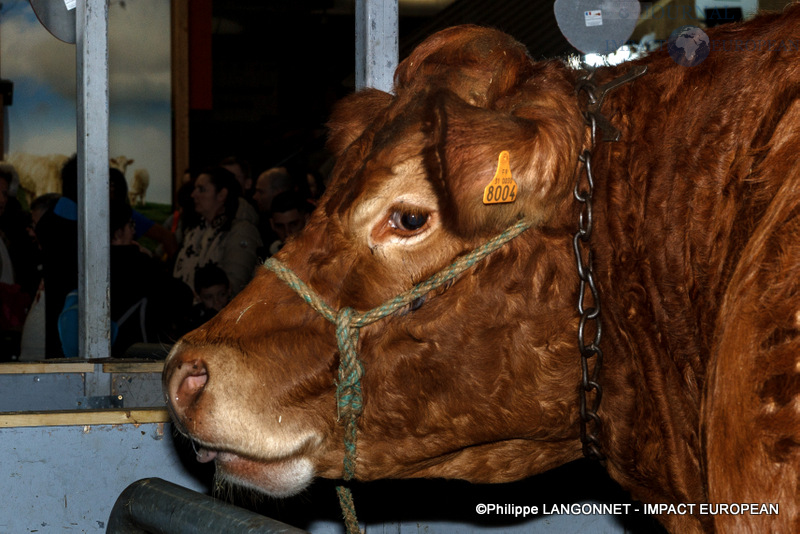 Photographie de Philippe Langonnet