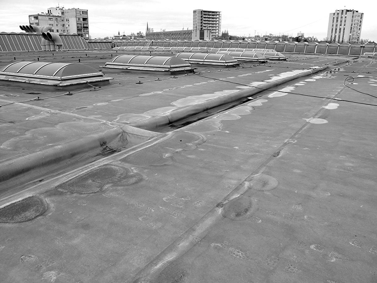 Rooftop of the Total Palace <br srcset=