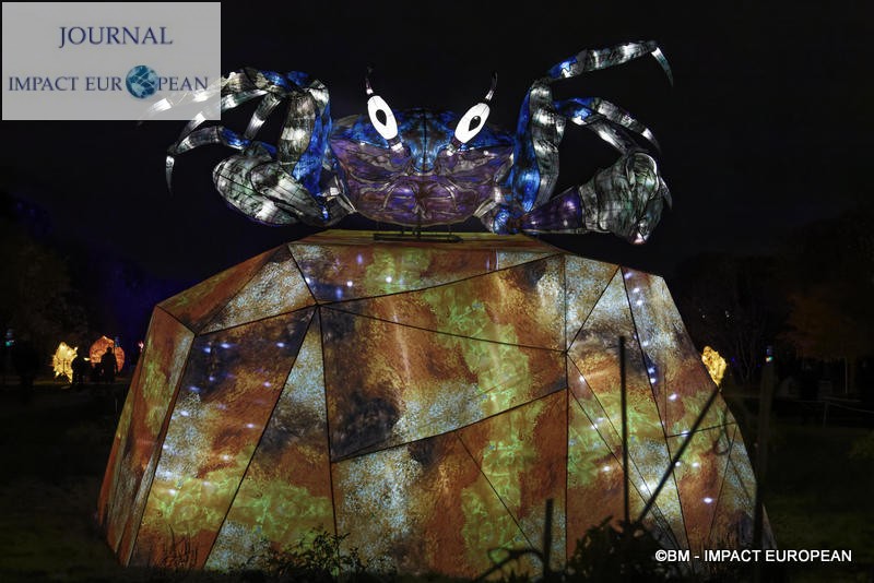 Visite nocturne des océans au jardin des plantes