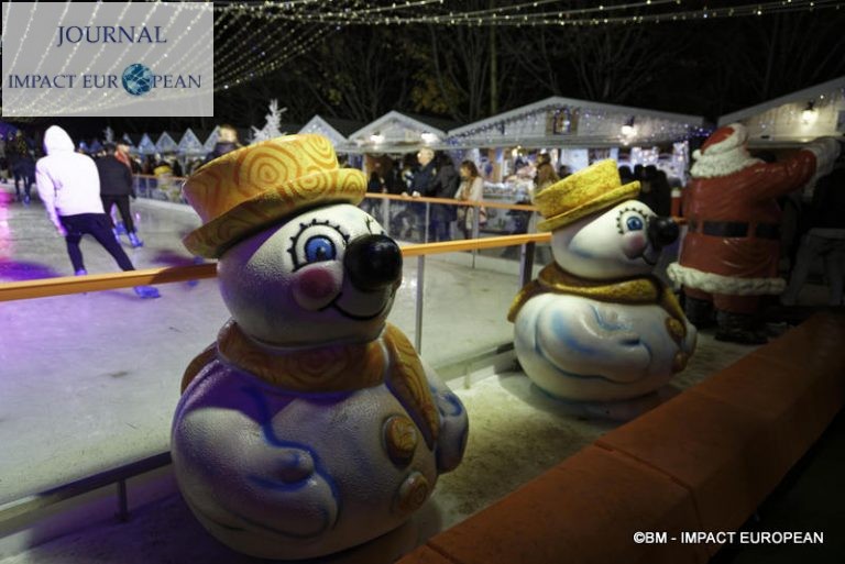 55-marché noel tuileries 55