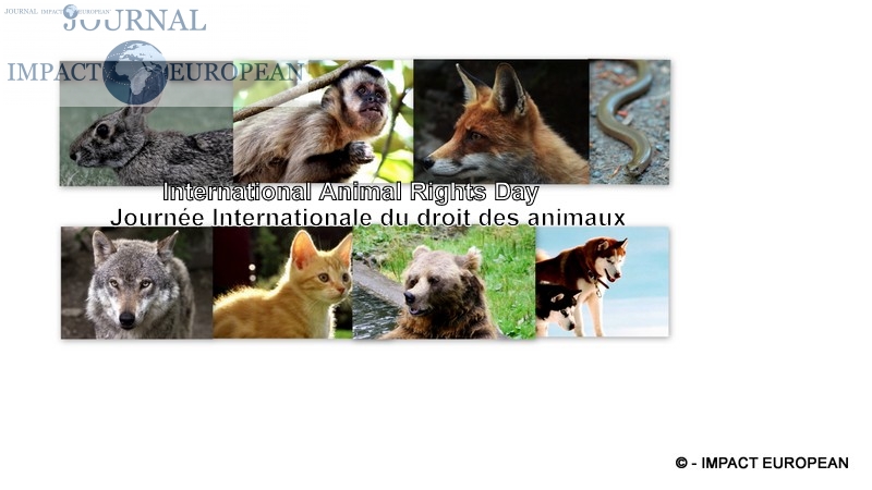 Journée Internationale du droit des animaux