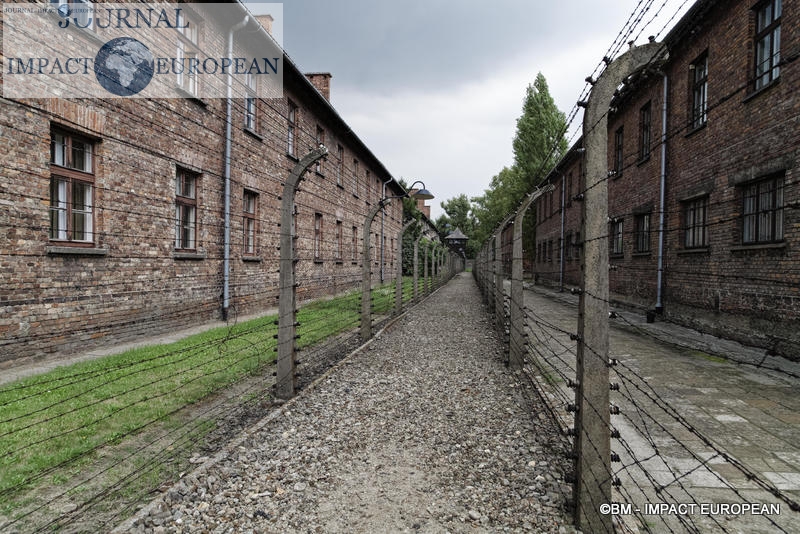 Camp d'extermination d'Auschwitz I(Pologne)