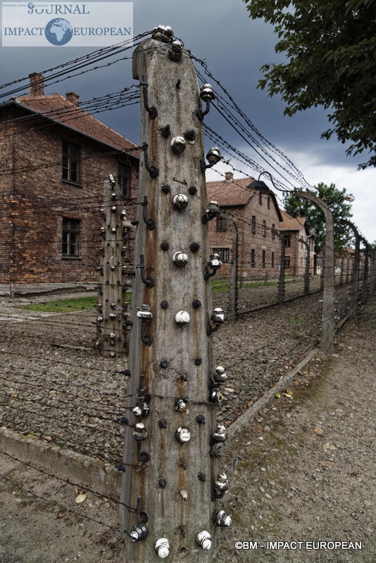 Camp d'extermination d'Auschwitz I(Pologne)