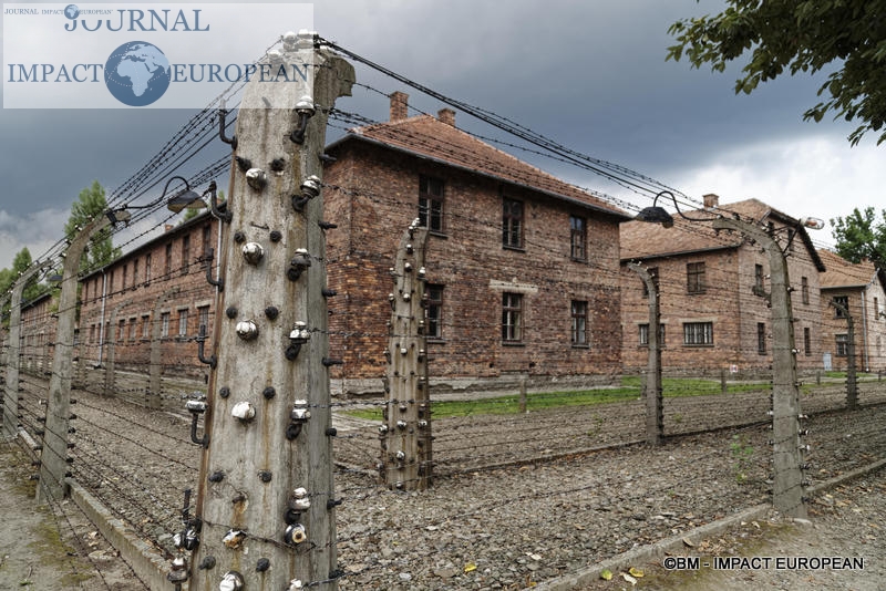 Camp d'extermination d'Auschwitz I(Pologne)
