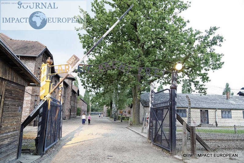 Camp d'extermination d'Auschwitz I(Pologne)