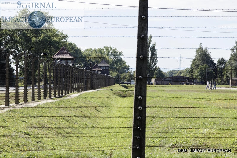 Camp d'extermination d'Auschwitz II-Birkenau (Pologne)