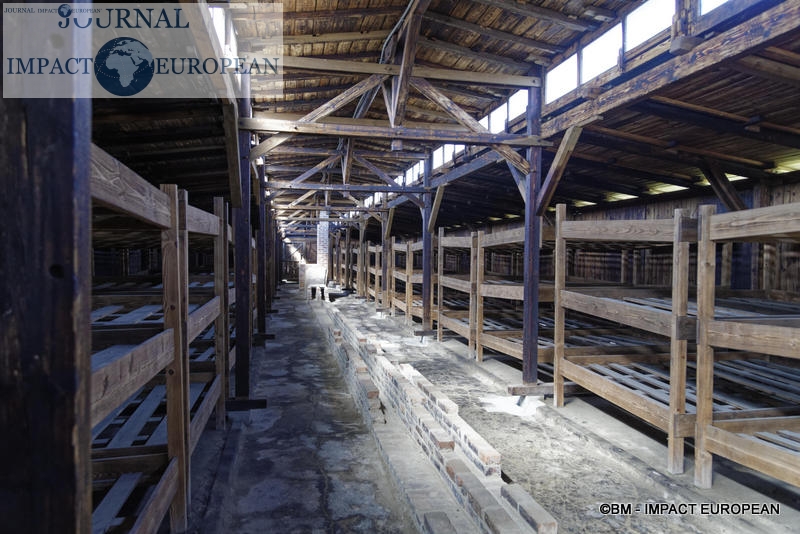 Camp d'extermination d'Auschwitz II-Birkenau (Pologne)