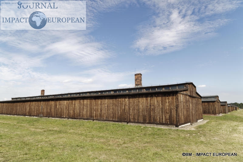 Camp d'extermination d'Auschwitz II-Birkenau (Pologne)