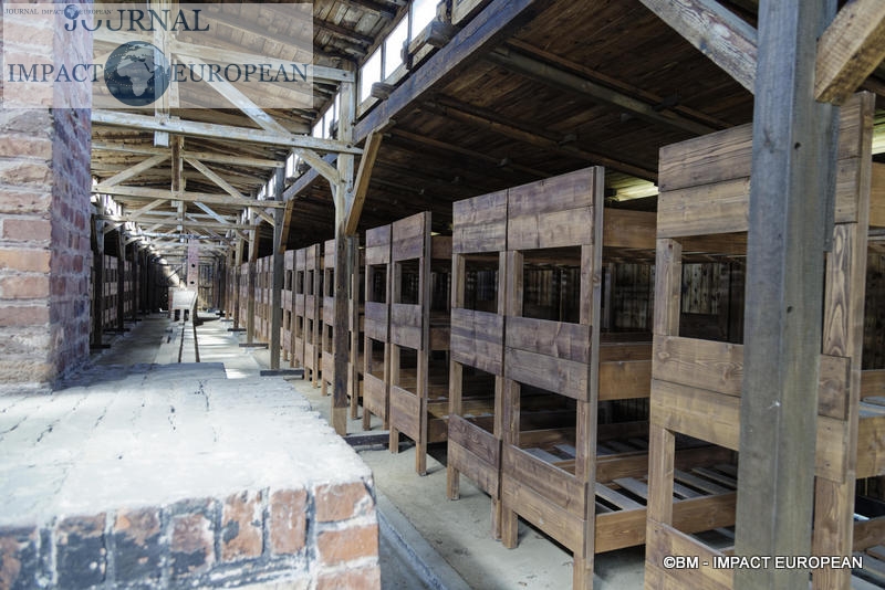 Camp d'extermination d'Auschwitz II-Birkenau (Pologne)