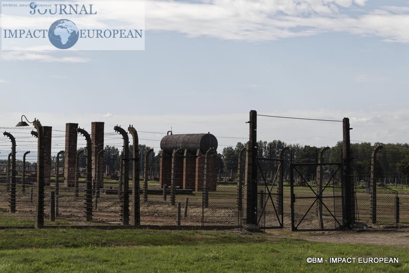 Camp d'extermination d'Auschwitz II-Birkenau (Pologne)