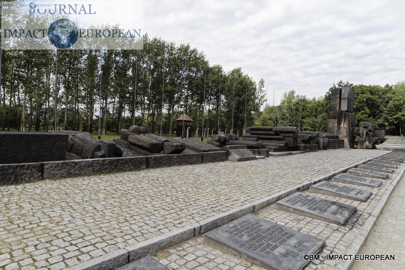 Camp d'extermination d'Auschwitz II-Birkenau (Pologne)