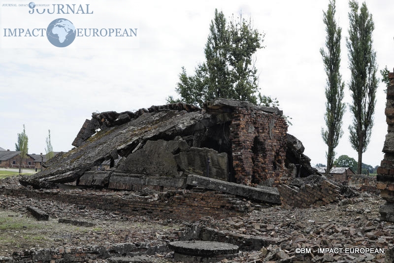 Camp d'extermination d'Auschwitz II-Birkenau (Pologne)