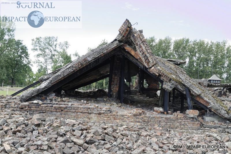 Camp d'extermination d'Auschwitz II-Birkenau (Pologne)