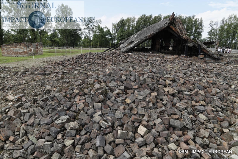 Camp d'extermination d'Auschwitz II-Birkenau (Pologne)