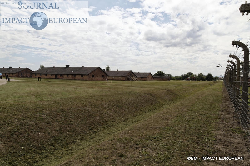 Camp d'extermination d'Auschwitz II-Birkenau (Pologne)