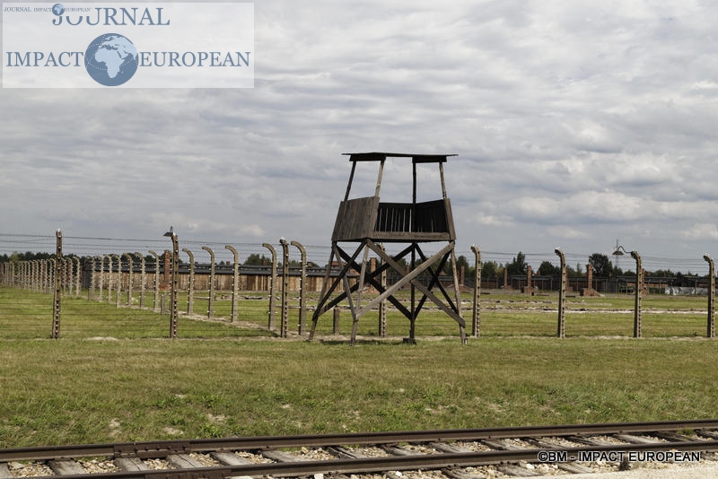 Camp d'extermination d'Auschwitz II-Birkenau (Pologne)