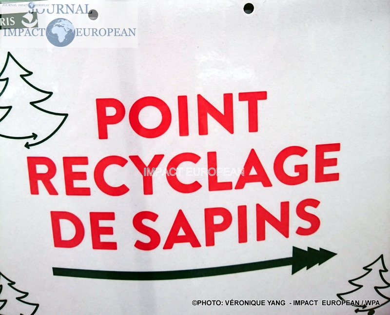 Recyclage des sapins après Noel