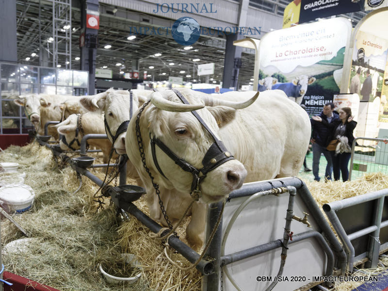 57ème Salon de l'agriculture.