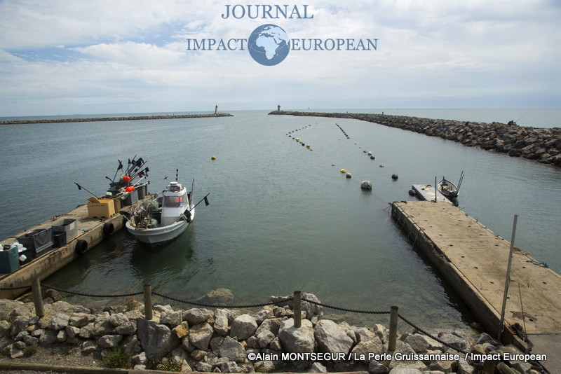 L’Occitanie, pays de la pêche et la conchyliculture