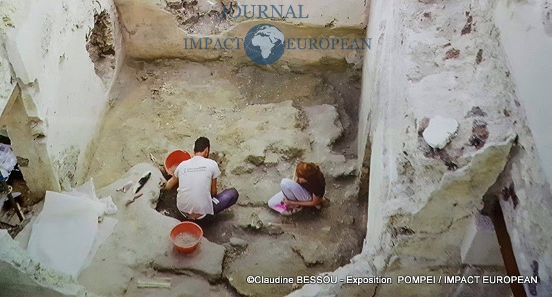 Exposition : POMPEI – Promenade immersive; Trésors archéologiques; Nouvelles découvertes