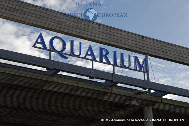 aquarium la rochelle 75