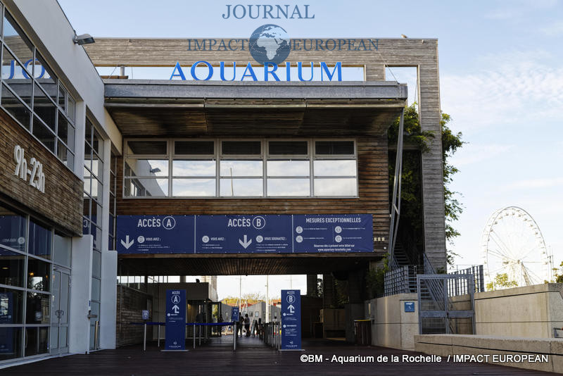 aquarium la rochelle 78