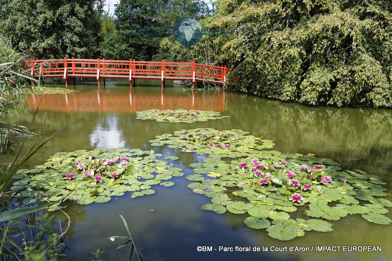 parc floral de la court d'aron 02