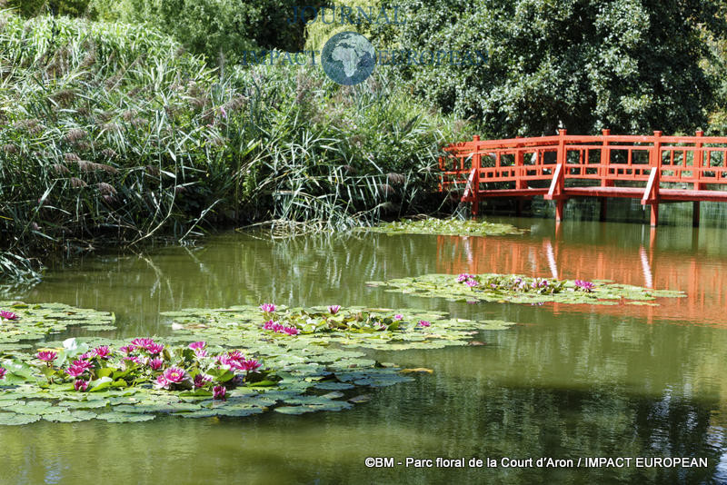 parc floral de la court d'aron 03