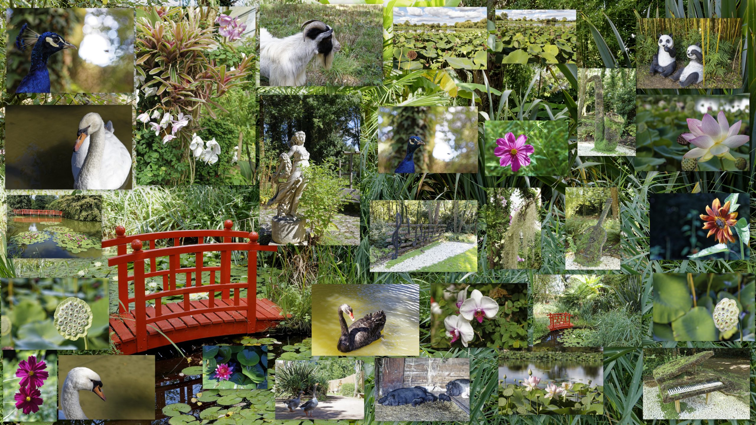 Parc floral de la Court d’Aron: un univers floral et tropical