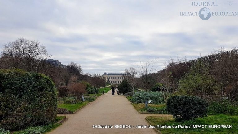 Jardin Des Plantes 57 Rue Cuvier 75005 Paris Promenade au Jardin des Plantes de Paris - Journal Impact European