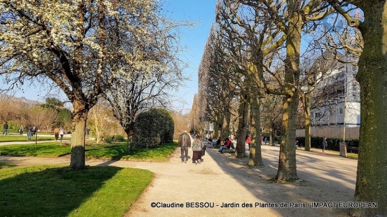 Jardin Des Plantes 57 Rue Cuvier 75005 Paris Promenade au Jardin des Plantes de Paris - Journal Impact European