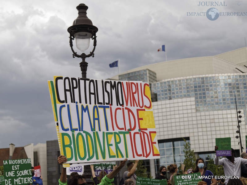 Une marche pour une loi climat dans toute la France