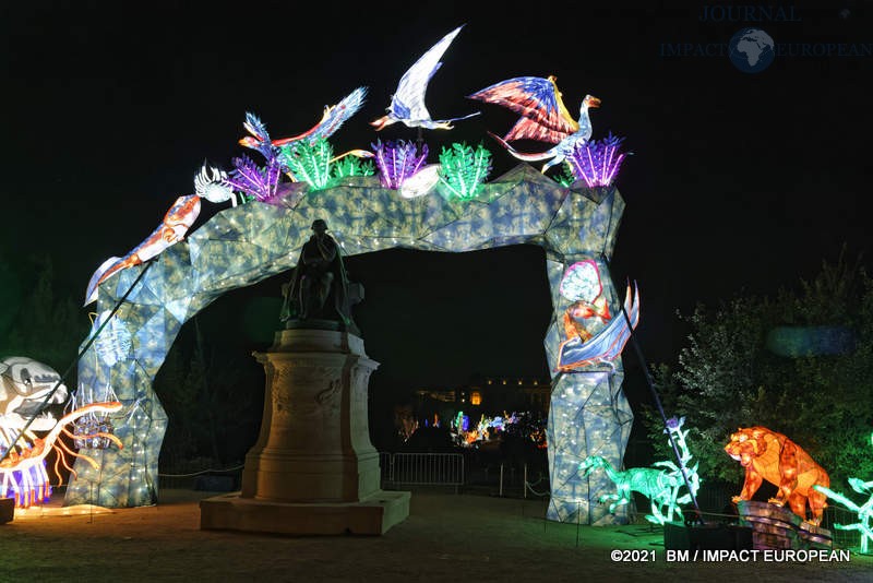 L’EVOLUTION EN VOIE D’ILLUMINATION AU JARDIN DES PLANTES A PARIS