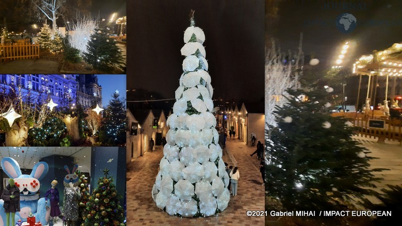 L’histoire du premier sapin de Noël et la tradition de la décoration