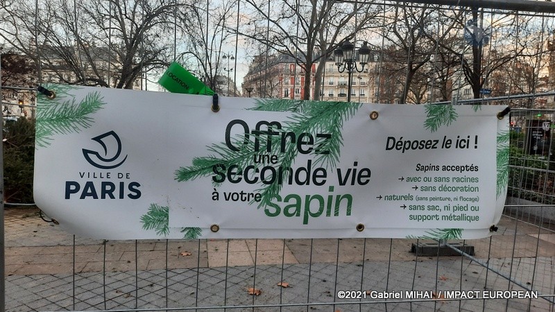 OU DEPOSER SON SAPIN POUR LE RECYCLER?