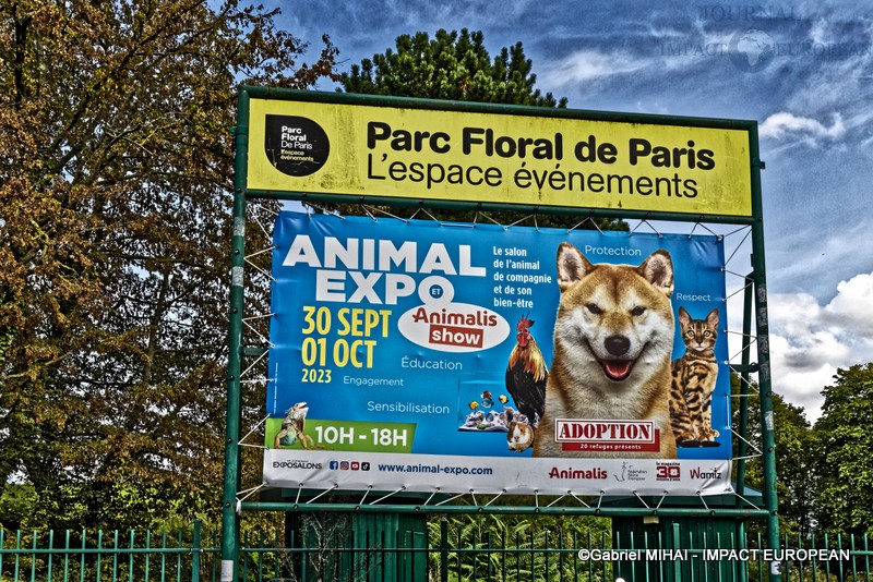 ANIMAL EXPO: le salon « de l’animal de compagnie et du bien-être » au rendez-vous