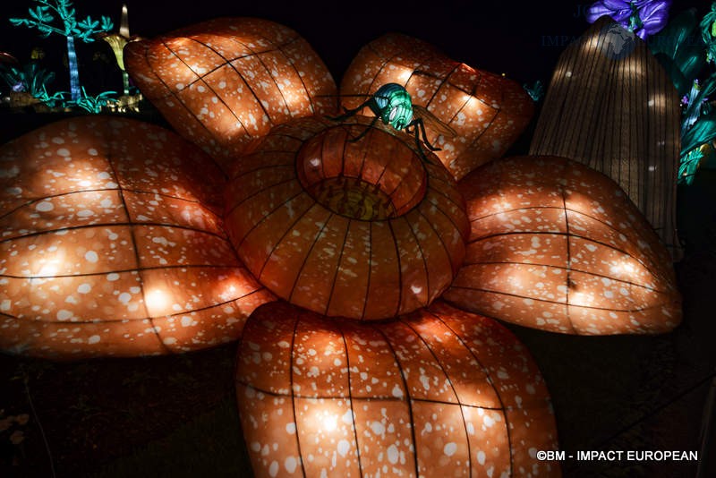 Jungle en voie d’illumination, la nouvelle saison des lanternes au Jardin des Plantes à Paris