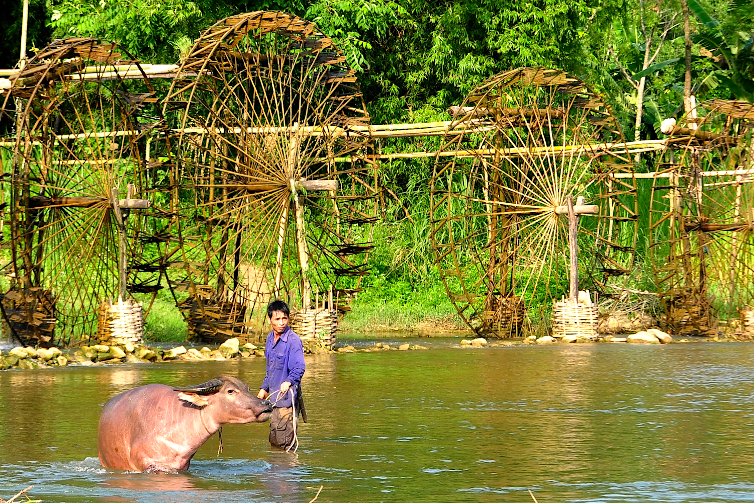 Pu Luong villages on the countryside