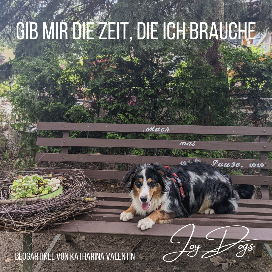 Gib mir die Zeit, die ich brauche