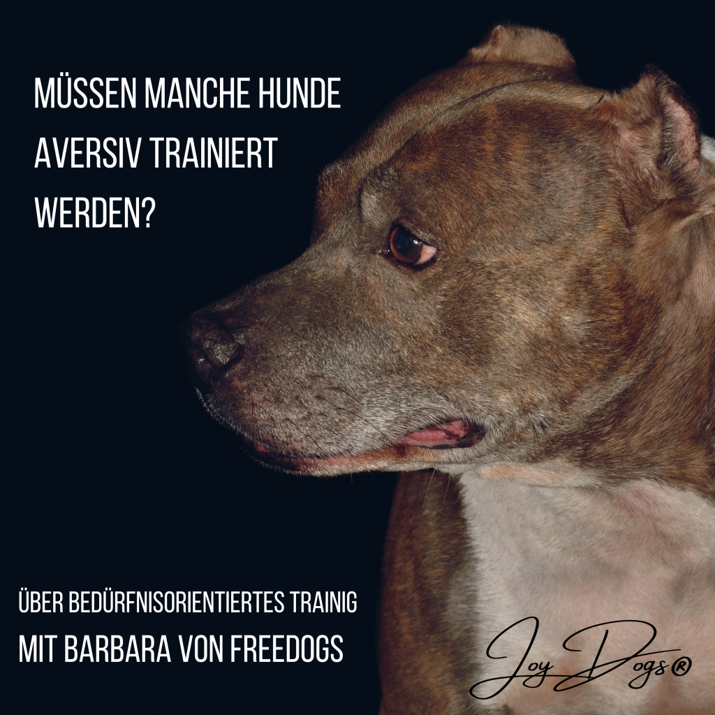 Müssen manche Rassen aversiv trainiert werden? Hundetraining mit JoyDogs