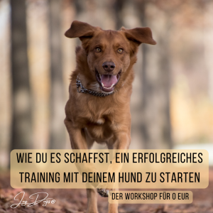 Erfolgreiches Hundetraining