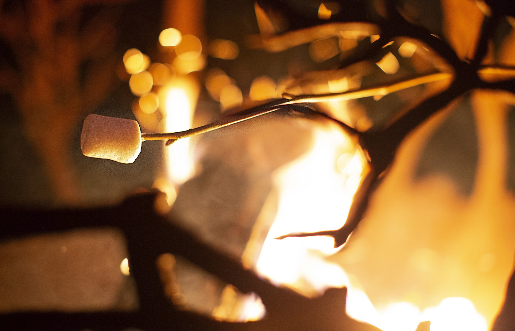 Marshmallows roosteren JT Metal Arts