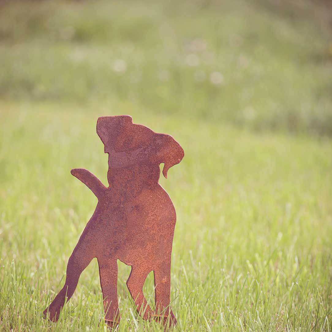 silhouet nieuwsgierig hond hondje tuindecoratie staal metaal