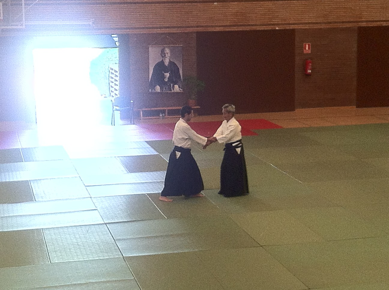 curso-de-aikido-con-el-sensei-kitaura-en-guadarrama-madrid_t20_W2nxzg