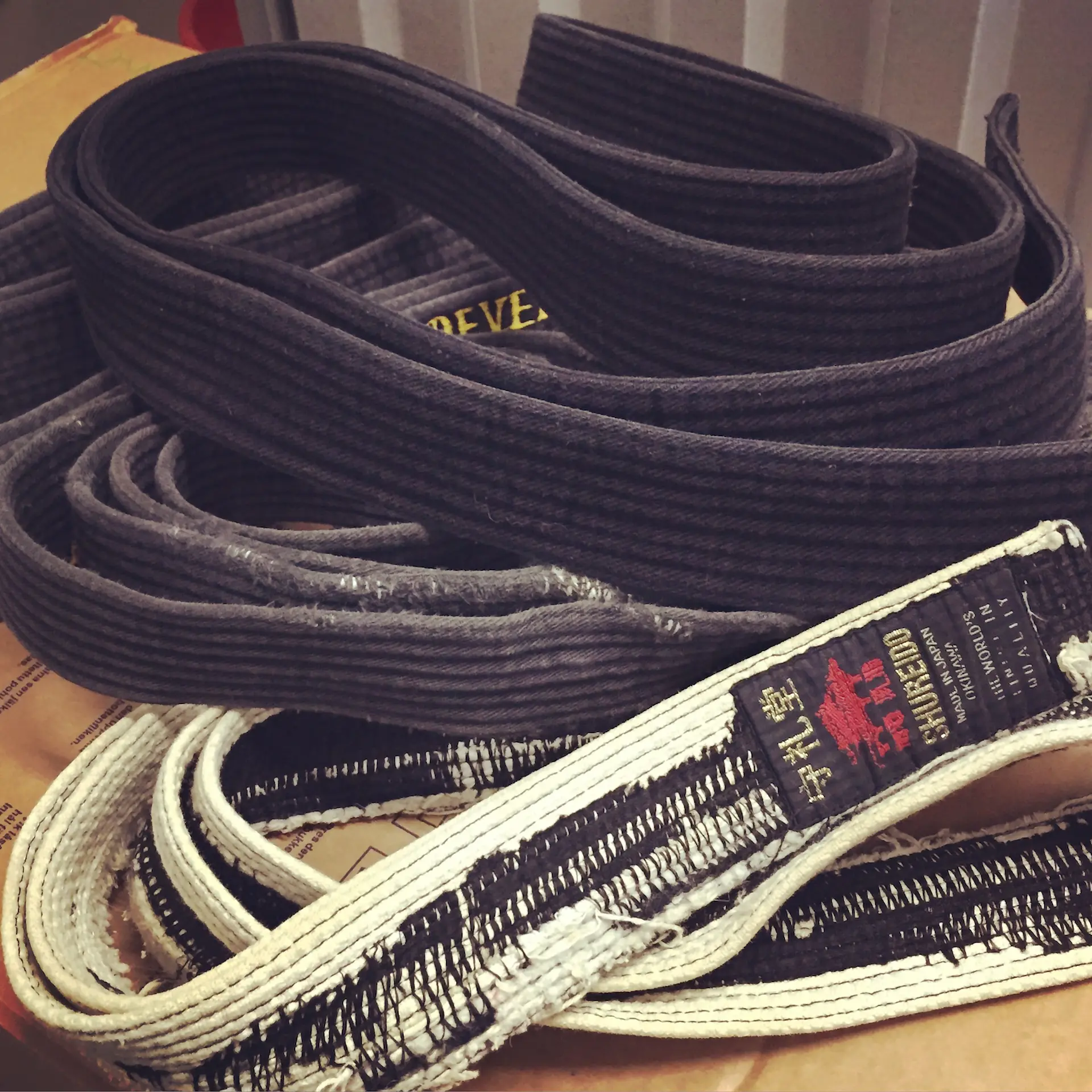 Mot en felles standard for dangrader i judo