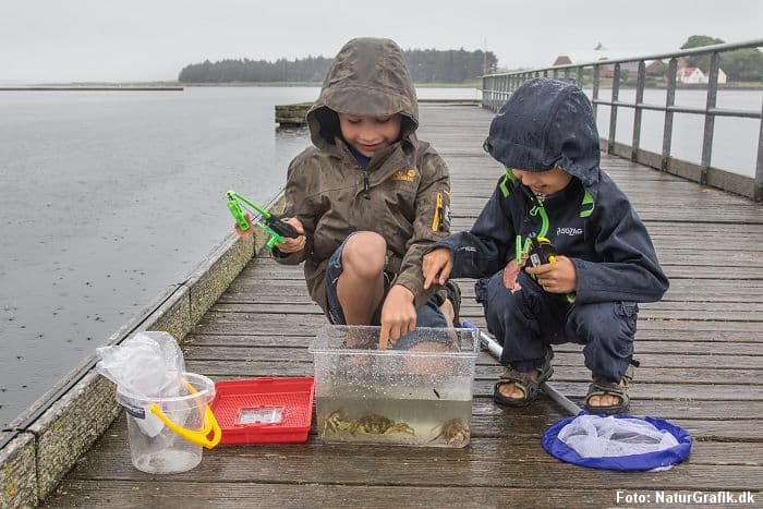 Naturguide.dk - test af startpakke til vandet