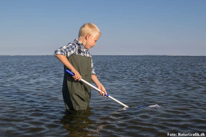 Junior Waders - Naturguide.dk