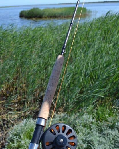 Fluefiskesæt ved fjorden