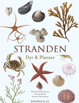 Stranden dyr & planter