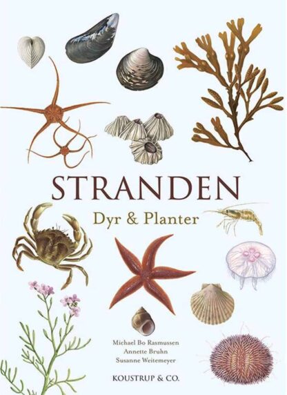 Stranden dyr & planter